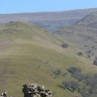 Dinas Castle Inn ブレコン エクステリア 写真